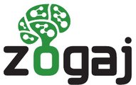 Zogaj - Mastermind of Sweden
